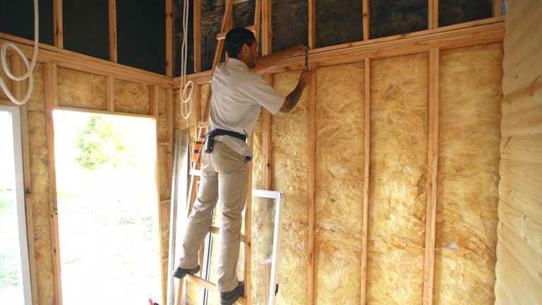 Best Soundproof Insulation  in Harrison, MI